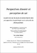 Vignette d'image