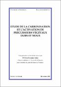 Vignette d'image
