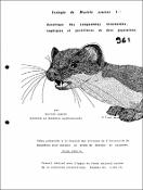 Vignette d'image