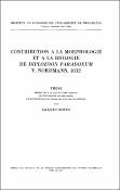 Vignette d'image
