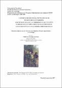 Vignette d'image