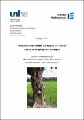 Vignette d'image